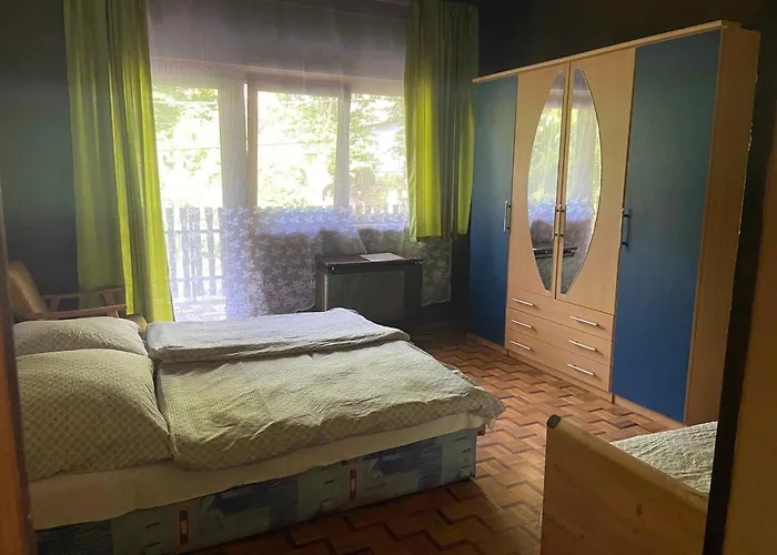 In - Balaton 20048 希欧福克